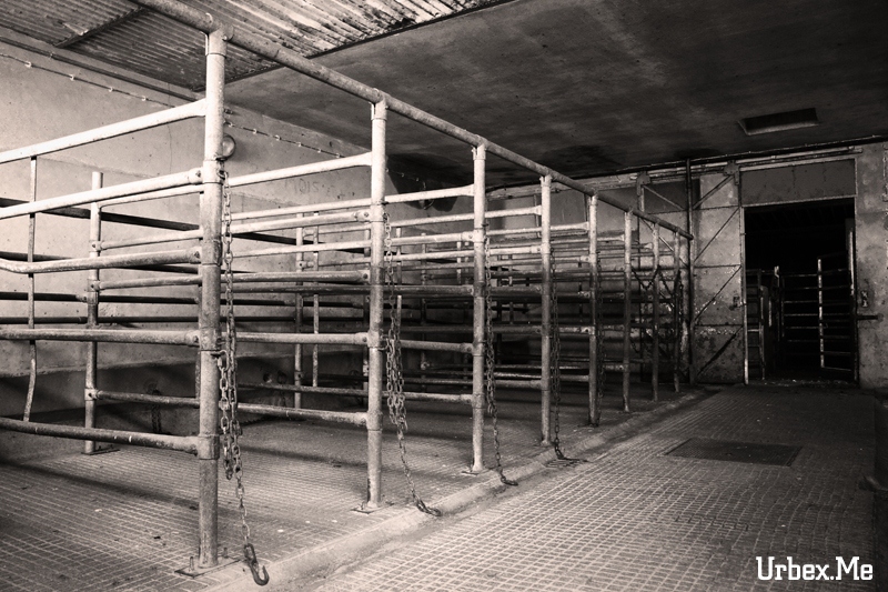 http://urbex.me/uploads/2011/images/1310669461_urbex_abattoir_12.jpg